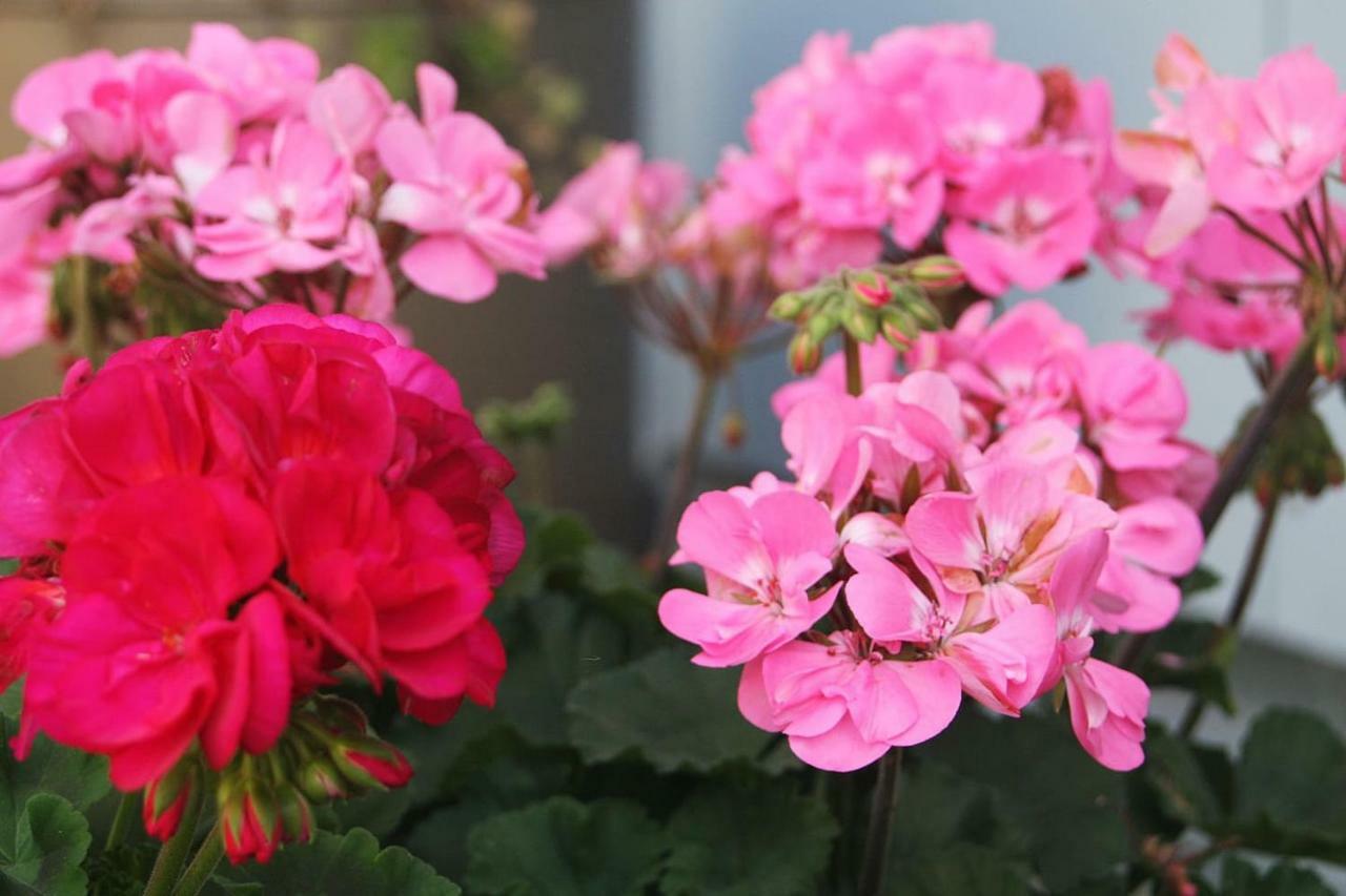 Gartenzimmer Rubigen 外观 照片